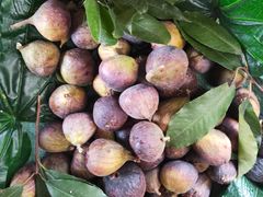 -迪庆藏族自治州博物馆