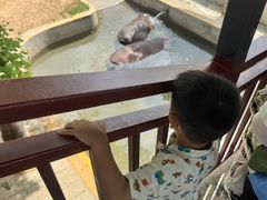 -西霞口神雕山野生动物世界