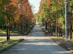 -上海长兴岛郊野公园