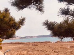 -青岛第二海水浴场