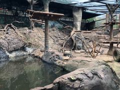 -卡塞拉自然公园