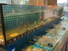 -德尚煌·顺德菜(誉山悠方天地店)