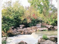 -白鹭湾湿地公园