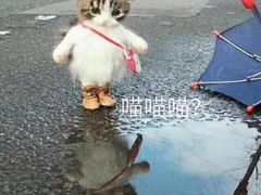 -Phở Bánh Cuốn 14