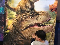 -星空影城(固安OMIS激光店)