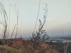 -红山国家森林公园