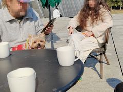 -星巴克(深圳音乐厅店)