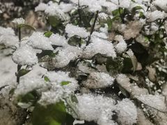 -凤凰汇购物中心