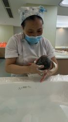 -宝生月子中心(民治店)