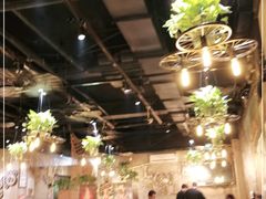 大堂-小俩口烧烤东北菜(双井店)