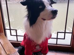 -邱记私房菜·十八年本地菜