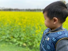 -迪茵湖田家舍生态农场