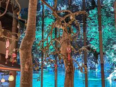 -桂满陇·海市蜃楼·黑金(国金店)