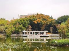 -人民公园(罗湖区)