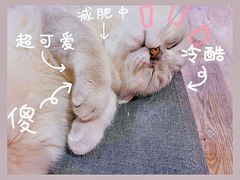 -小时光咖啡馆(开森度假森林店)