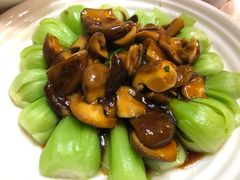 -台北楚楚园馅饼粥(虹桥南丰城店)