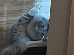 -宠颐生宠物医院·心肾内科·猫专科诊疗中心宠巢店