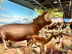 -陕西自然博物馆