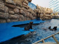 -华夏文旅海洋公园