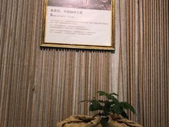 -百年朱苦拉咖啡(博物馆店)