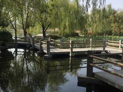 -武汉园博园(武汉自然博物馆)