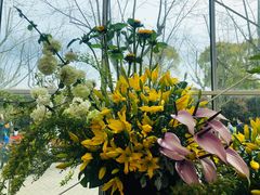-上海鲜花港