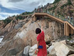 -广东惠东海龟国家级自然保护区