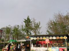 -秀丽东方
