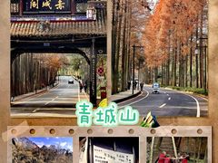 -青城山