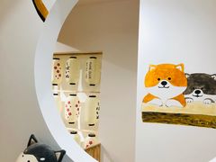 -柴迷FANS CLUB·柴犬狗咖·猫咖