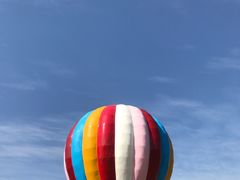 -漩门湾国家湿地公园