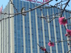 -万达广场(福州金融街店)
