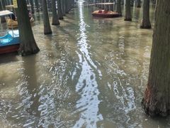 -渌洋湖湿地公园