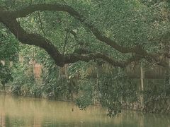 -小洲村