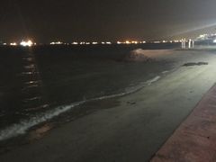 -珍宝海鲜(东海岸海鲜中心)