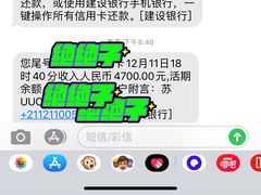 -苏州中迪奥迪4S店(松陵店)