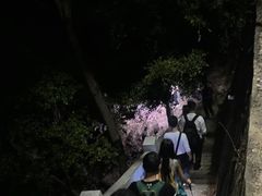 -火炉山森林公园