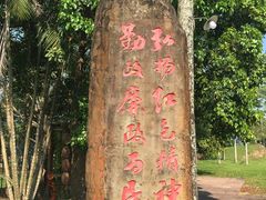 -红色娘子军纪念园