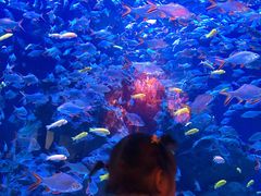 -成都浩海立方海洋公园