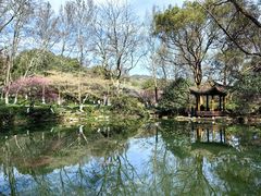 -杭州植物园