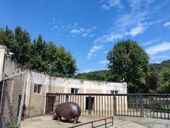 -合肥野生动物园