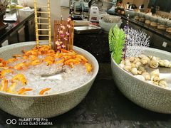 -赛瑞喜来登大酒店-盛宴自助餐厅