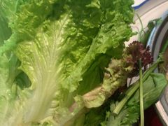 -羊来顺冰煮鲜羊 铁锅烀羊肉(中央大街店)