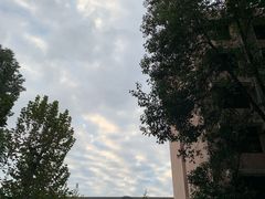 -四川大学(望江校区)