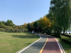 -沙澧河风景区