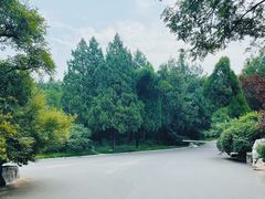 -千佛山风景名胜区