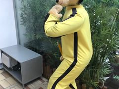 -济州岛泰迪熊博物馆