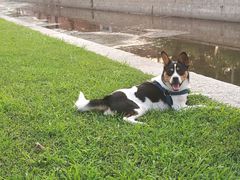 -元大都城垣遗址公园