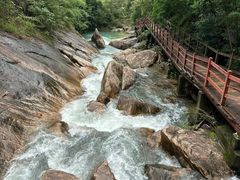 -广州白江湖森林公园