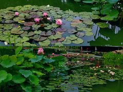 -国家植物园南园